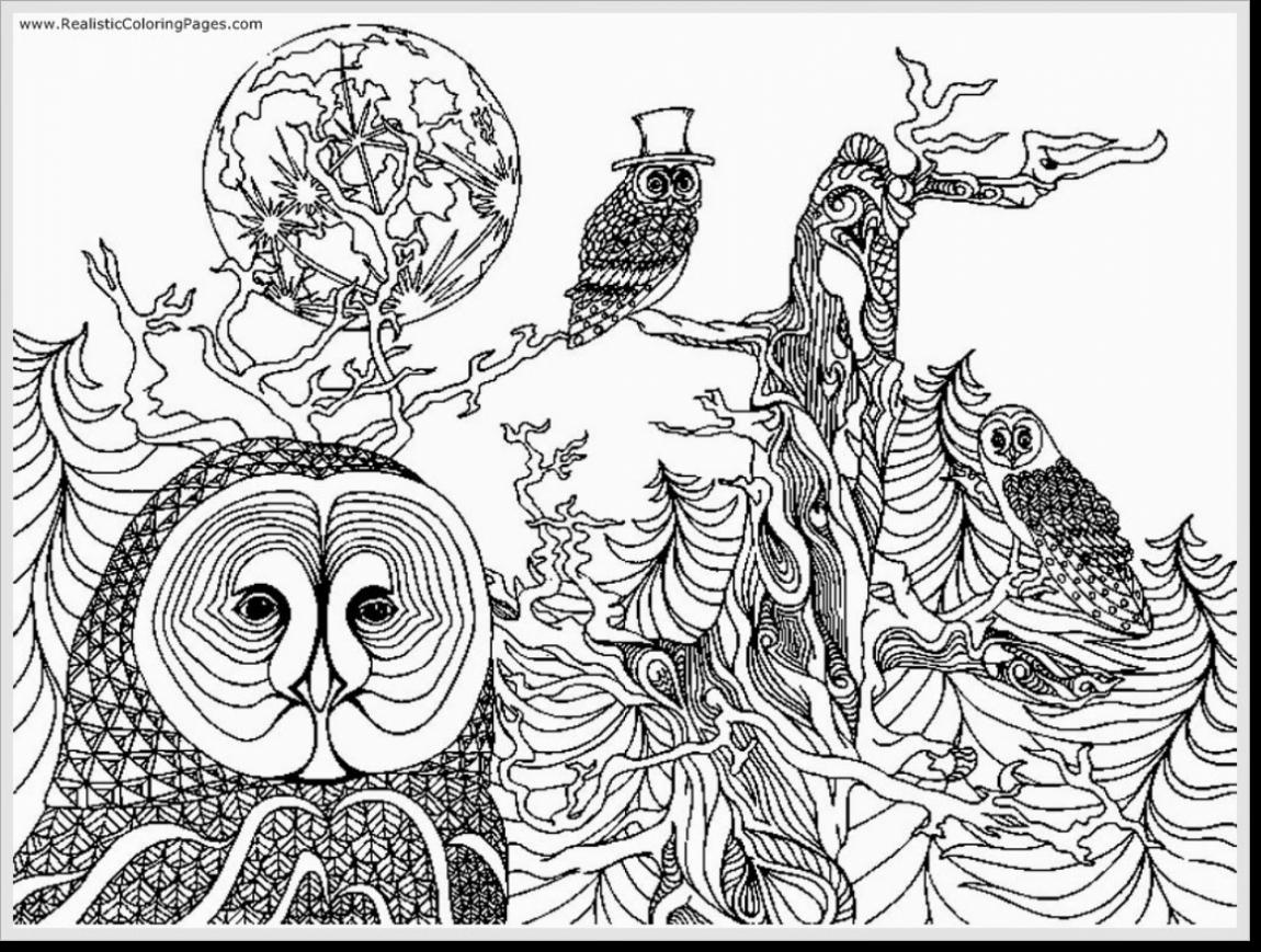 1150x869 Free Adult Owl Coloring Pages To Print Coloring Sheets