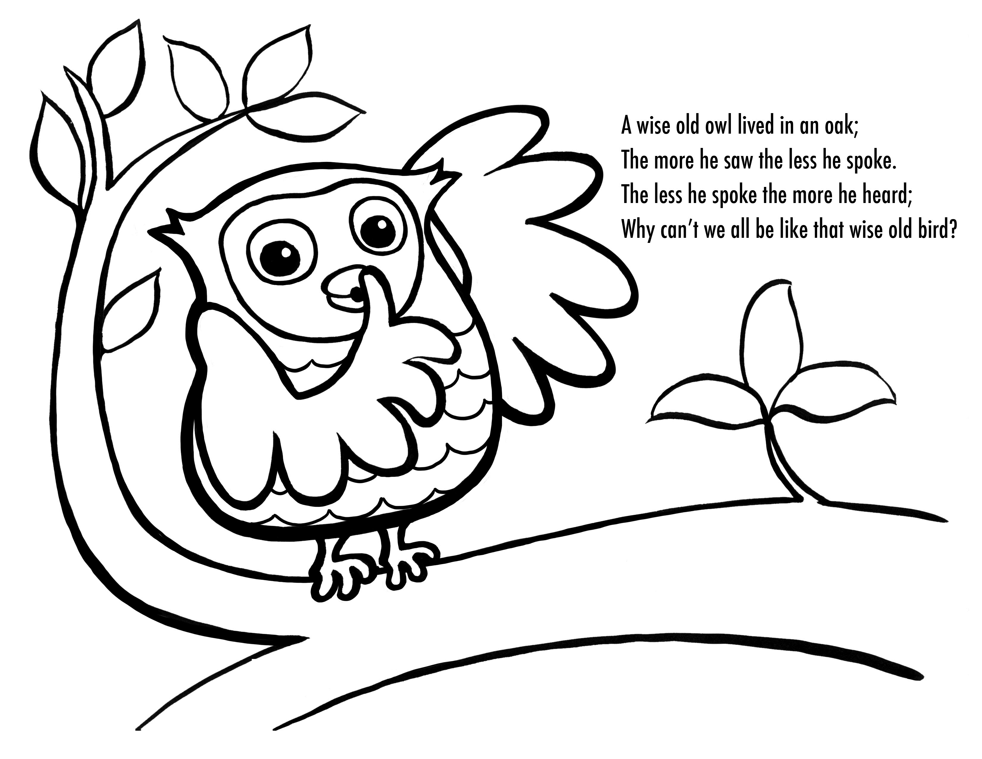 3300x2550 Free Printable Owl Coloring Pages For Adults
