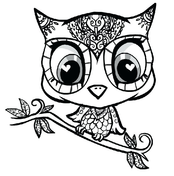 600x607 Owl Coloring Page Best Owl Coloring Pages Ideas On Free Coloring