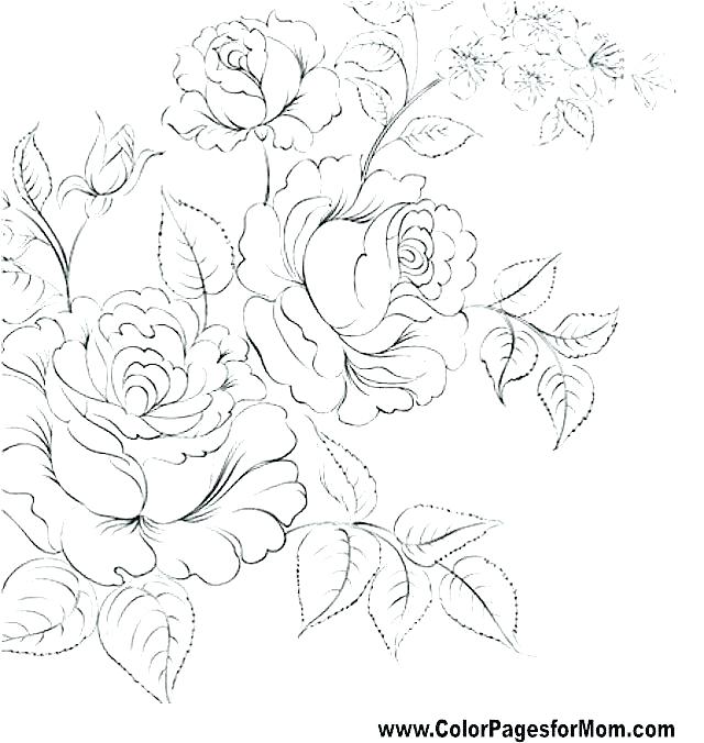 640x676 Coloring Pages Flowers Printable Flower Coloring Book Plus Unique