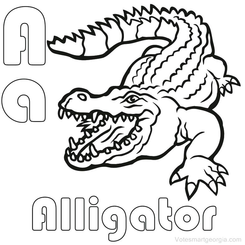787x787 Alligator Coloring Pages Alligator Coloring Pages Printable