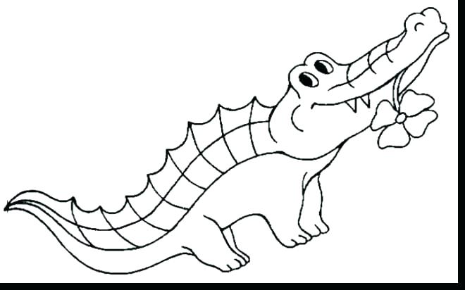 660x412 Alligator Coloring Sheets Alligator Color Page Alligator Coloring