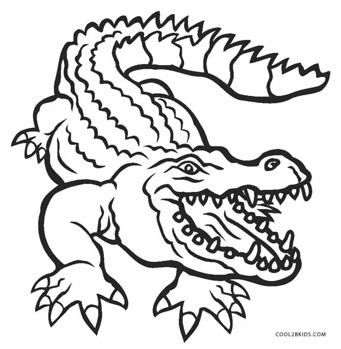 670x685 Free Printable Alligator Coloring Pages For Kids