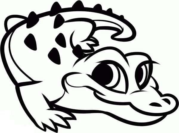 600x444 Alligator Coloring Pages
