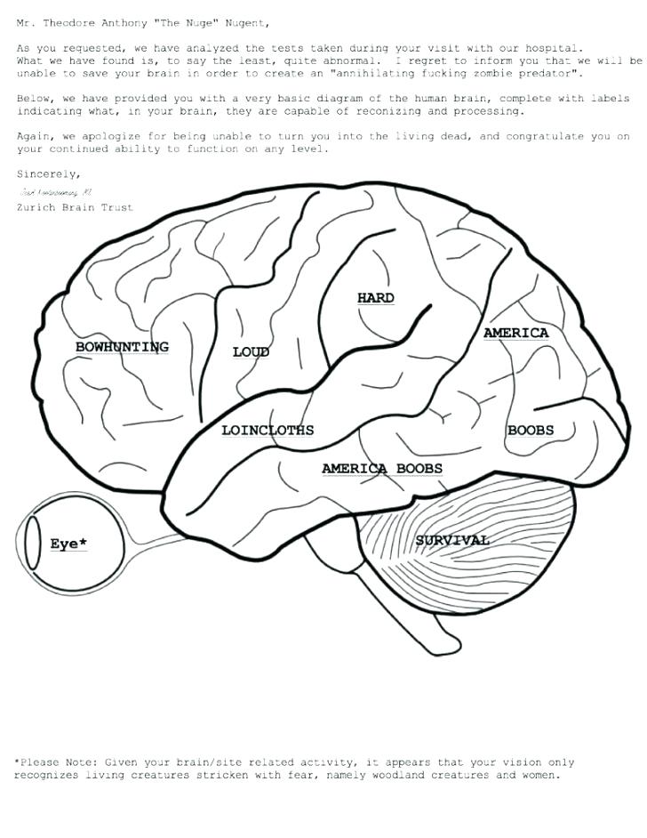 728x942 Human Coloring Pages Human Brain Coloring Pages Anatomy Coloring