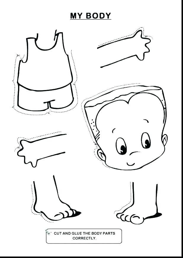 618x874 Anatomy Coloring Pages Anatomy And Physiology Coloring Pages Free