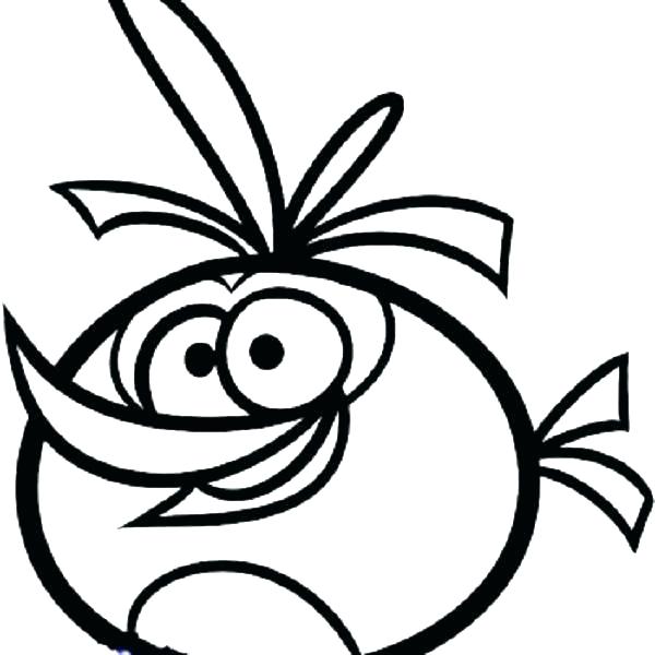600x600 Free Angry Birds Coloring Pages Angry Birds Coloring Pages Free