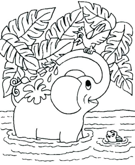 444x543 Free Animal Coloring Pages Kids