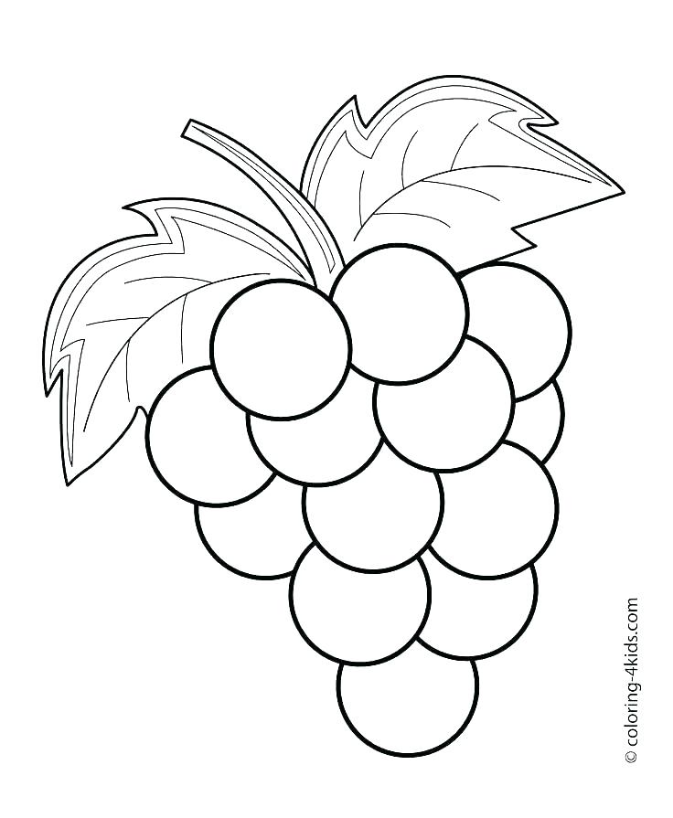 736x895 Free Apple Coloring Pages Apple Coloring Pages For Preschoolers