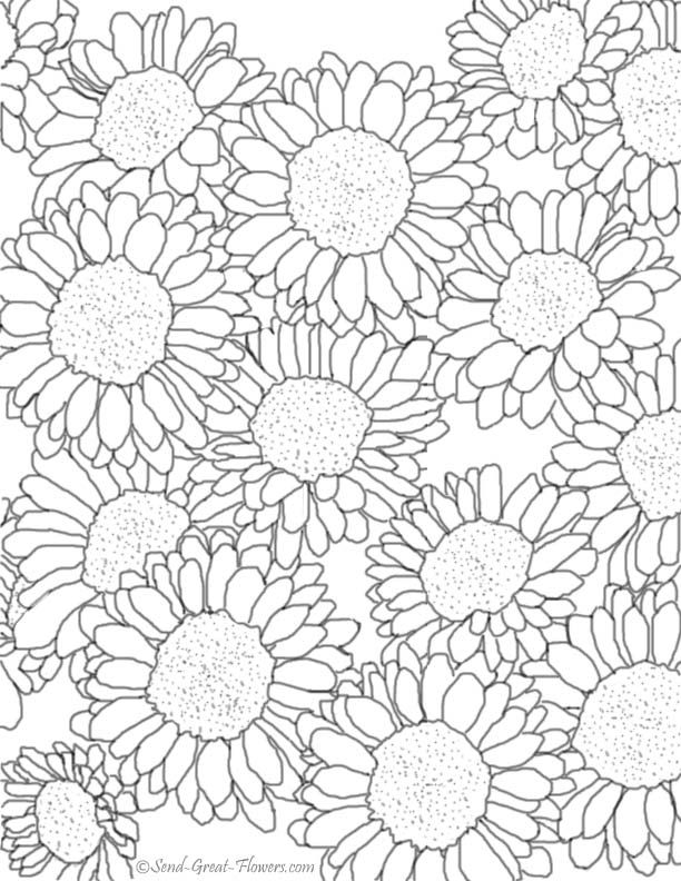 612x792 Free Fall Coloring Pages With Full Color Guides