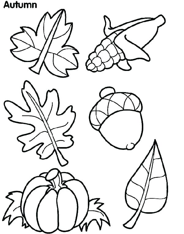 601x762 Leaf Coloring Pages Printable Fall Coloring Pages For Preschoolers