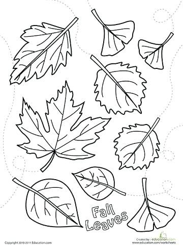 360x480 Coloring Pictures For Fall Fall Leaves Printable Coloring Page