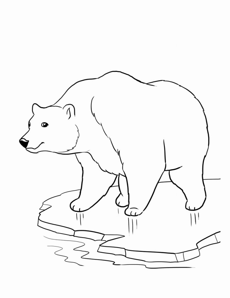 Free Bear Coloring Pages
