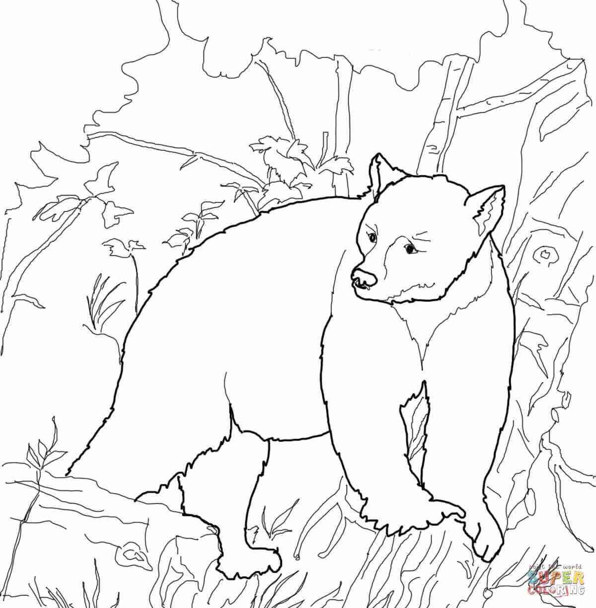 1200x1224 American Black Bears Coloring Pages Free Remarkable Bear Color