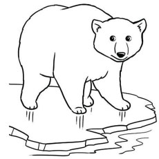 230x230 Top Free Printable Polar Bear Coloring Pages Online