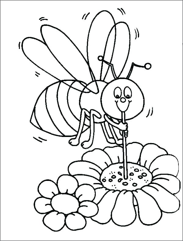 600x790 Bee Coloring Sheet Baby Honey Bee Coloring Pages Free Bumblebee