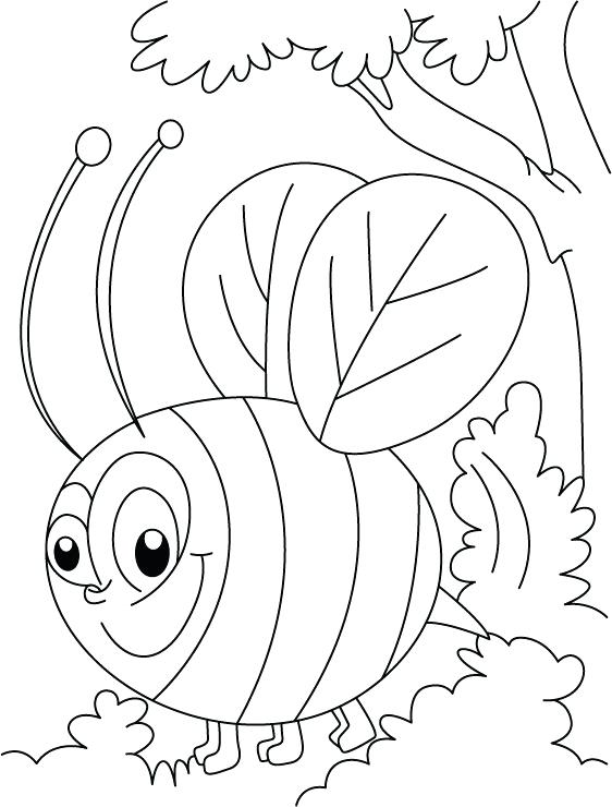 Free Bee Coloring Pages at GetDrawings | Free download