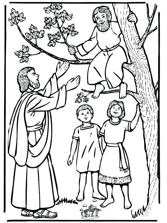660x880 Biblical Coloring Pages For Kids Free Bible School Coloring Pages