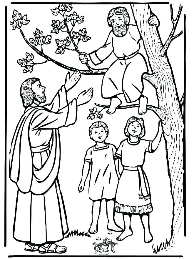 660x880 Coloring Pages And Coloring Books Free Bible Story Coloring Pages