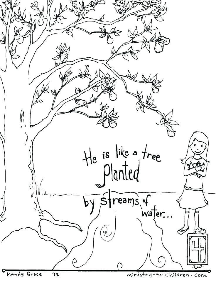 736x955 Coloring Pages Bible Stories