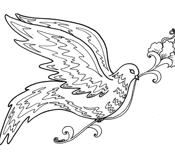 678x600 Bird Coloring Pages For Adults Coloring Page