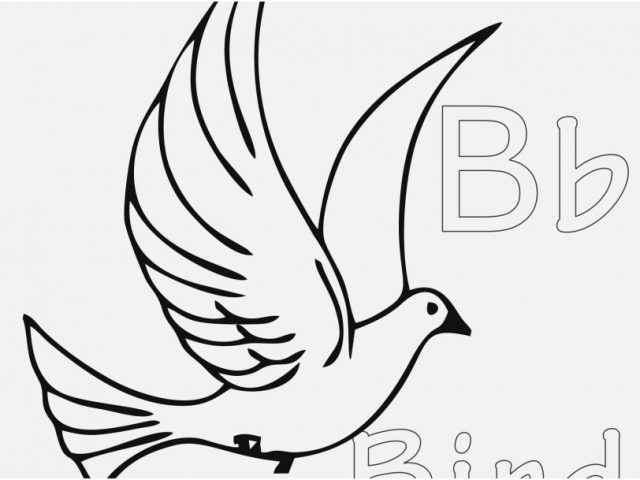 640x480 Bird Coloring Pages Photographs Free Bird Coloring Pages