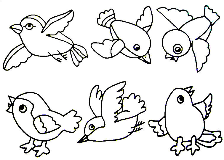 756x538 Free Bird Coloring Pages Fun Time
