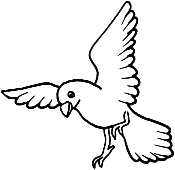 700x681 Free Bird Coloring Pages Free Bird Coloring Pages Printable Bird