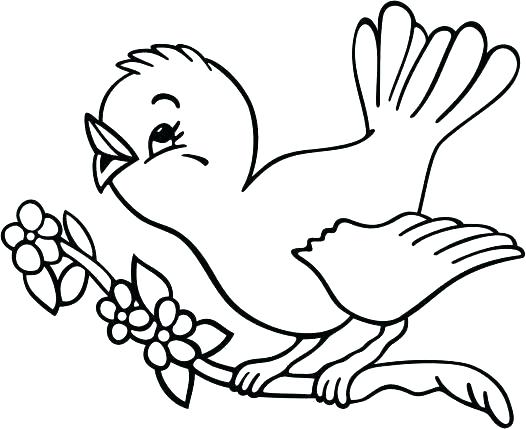 526x429 Gangsta Coloring Pages Bird Coloring Pages Bird Coloring Pages