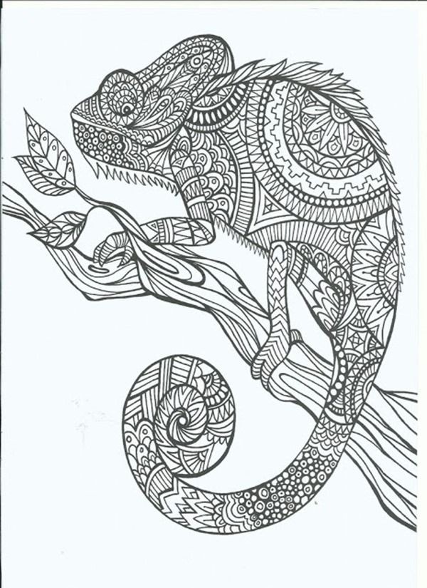 600x825 Bookmark Coloring Pages Printable Awesome Best Bookmarks