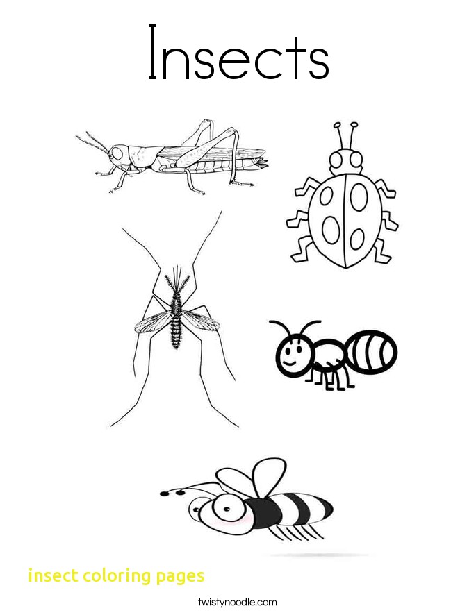 685x886 Insect Coloring Pages With Insects Coloring Page Twisty Noodle