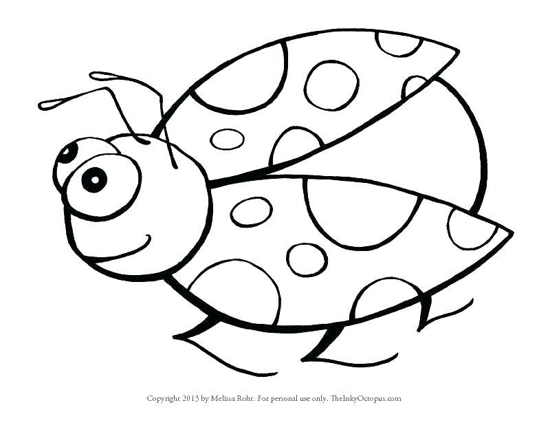 800x618 Insects Coloring Pages Free Printable Insect Coloring Pages Insect
