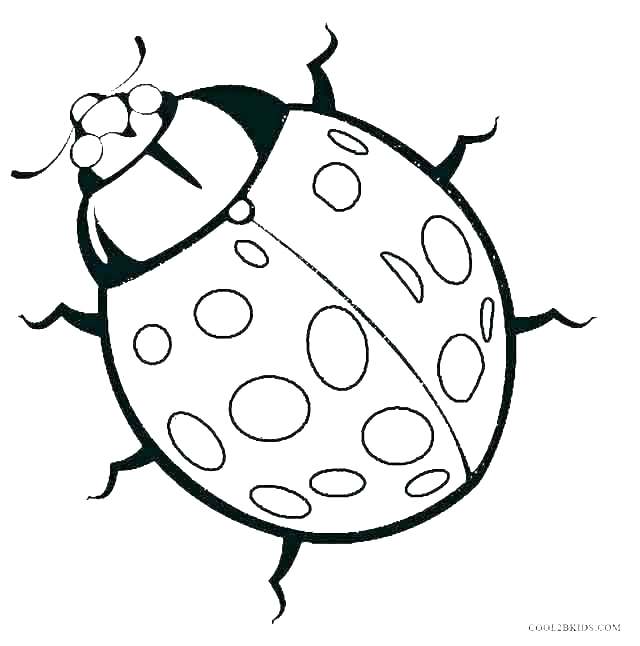 640x646 Love Bug Coloring Pages Love Bug Coloring Pages Bug Coloring