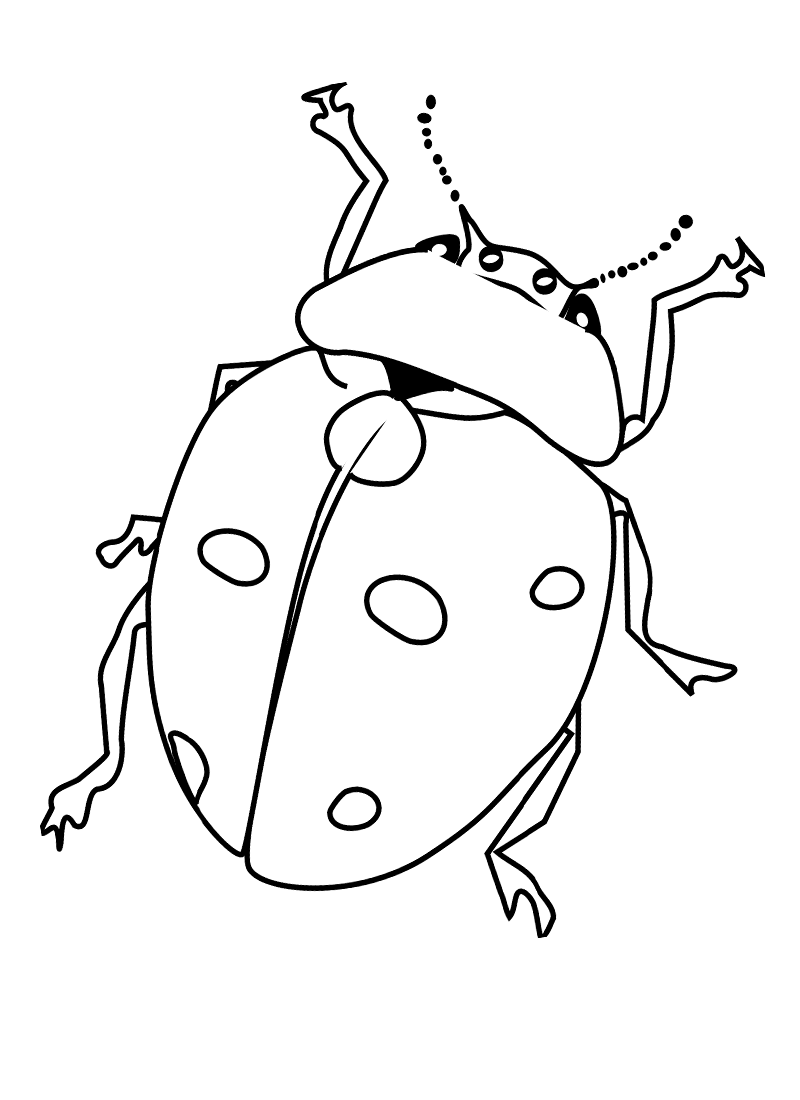 800x1100 Bug Coloring Pages
