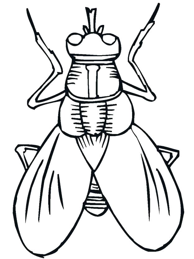 624x831 Bug Coloring Sheets Best Collection Coloring Pages Free Bug
