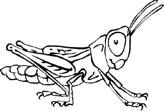 561x380 Bug Coloring Sheets Free Coloring Bug Coloring Sheets Printable