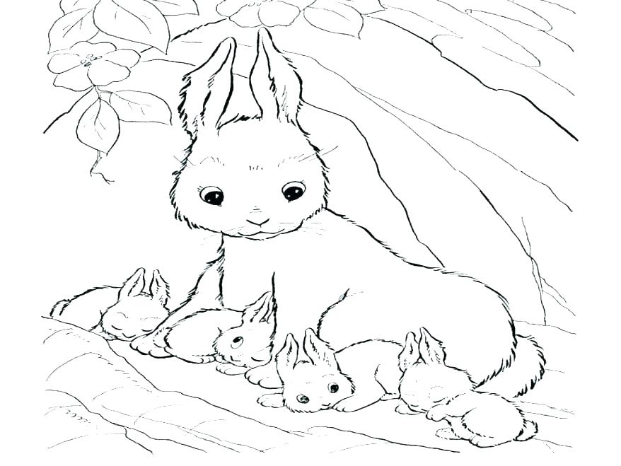 878x659 Free Bunny Coloring Pages Baby Bunny Coloring Pages Rabbit