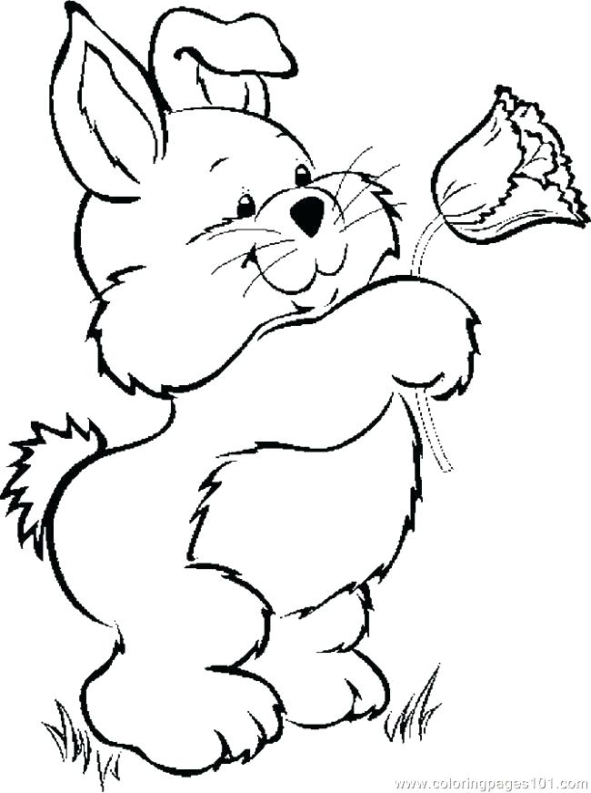 650x871 Free Coloring Pages Easter Bunny Bunny Coloring Page Save A Free