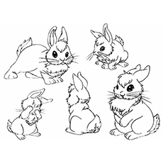 230x230 Top Free Printable Bunny Coloring Pages Online