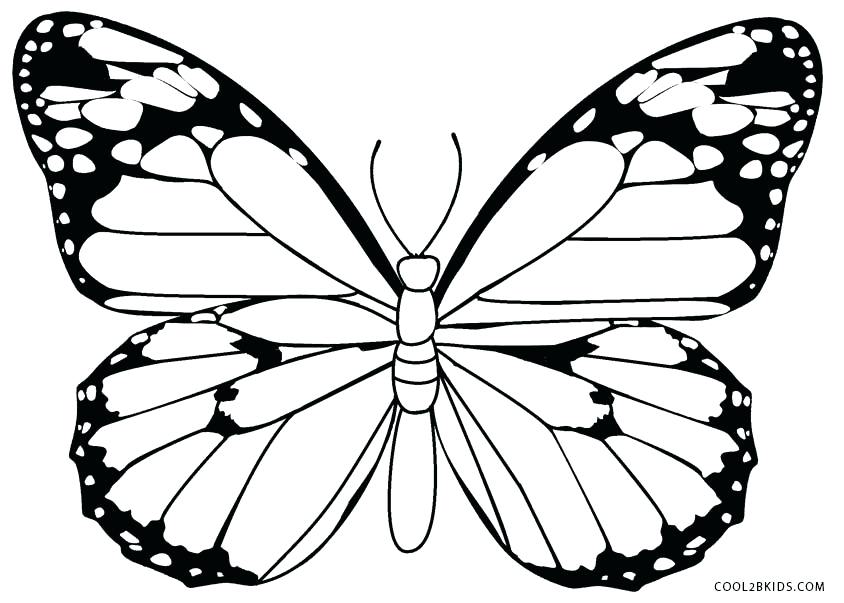 844x603 Coloring Pages Of Butterfly