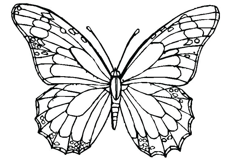 752x548 Butterfly Coloring Pages Adults Butterfly Coloring Pages