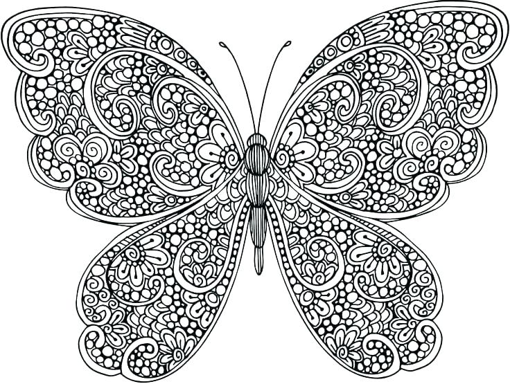 736x555 Butterfly Colouring Pages For Adults Beautiful Coloring Preschool