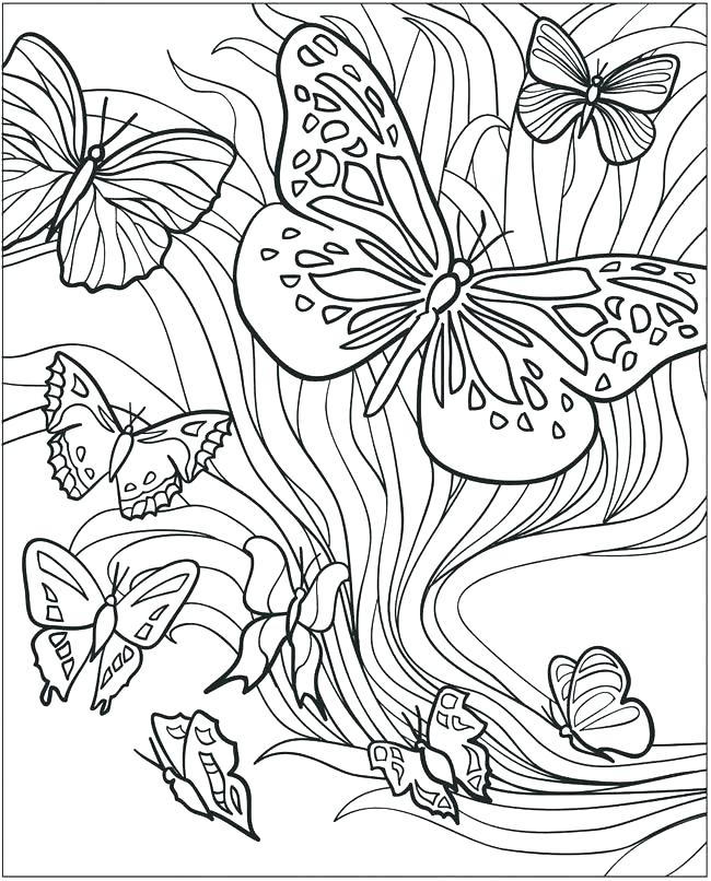 650x806 Free Butterfly Coloring Pages Free Butterfly Coloring Pages