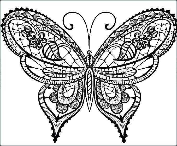 678x562 Butterflies Coloring Pages Free Butterfly Coloring Pages