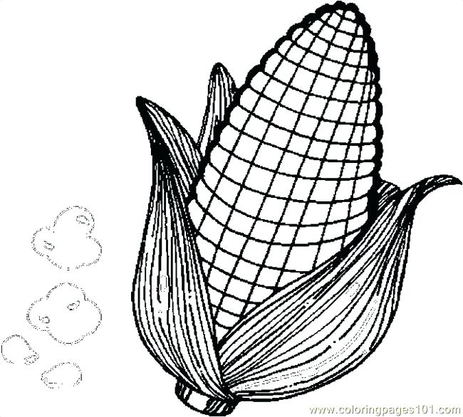 650x586 Corn Coloring Pages Printable Corn Coloring Pages Printable Free