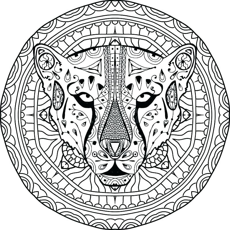 800x800 Cheetah Coloring Pages Coloring Pages Of Cheetahs Coloring Pages
