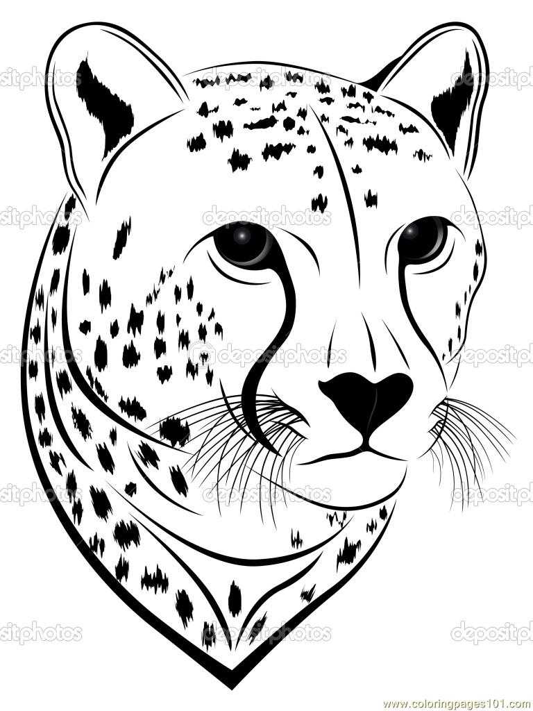 768x1024 Drawing Cheetah Face Pic Cheetah Face Coloring Page