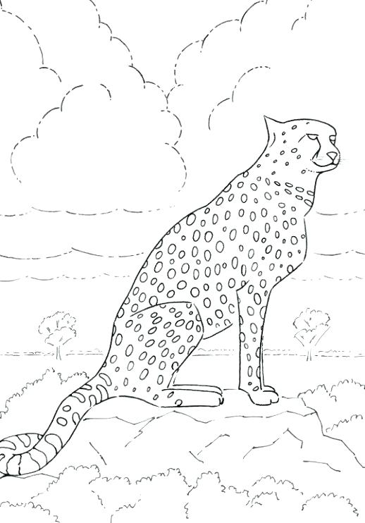 518x742 Realistic Cheetah Coloring Pages Printable Coloring Cheetah