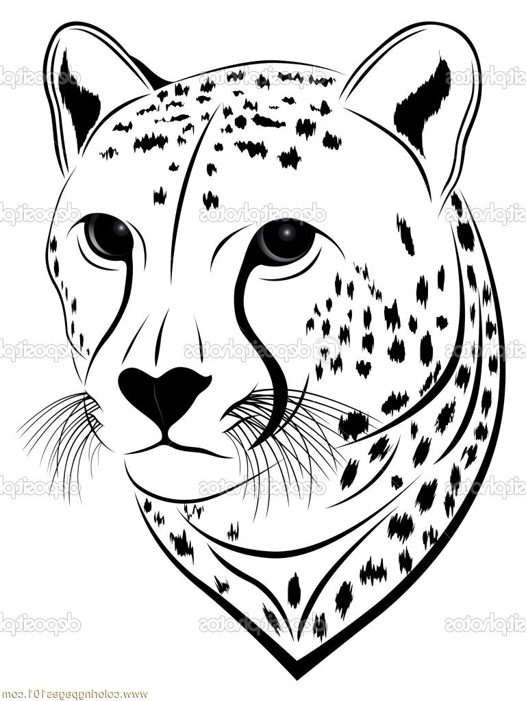 768x1024 Animal Face Drawing Kids Colour Photos Cheetah Face Coloring Page