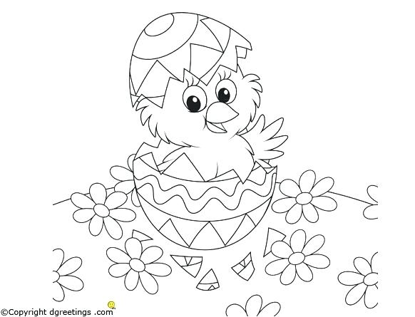 582x445 Chick Coloring Pages Chicks Coloring Pages Also Coloring Egg Free